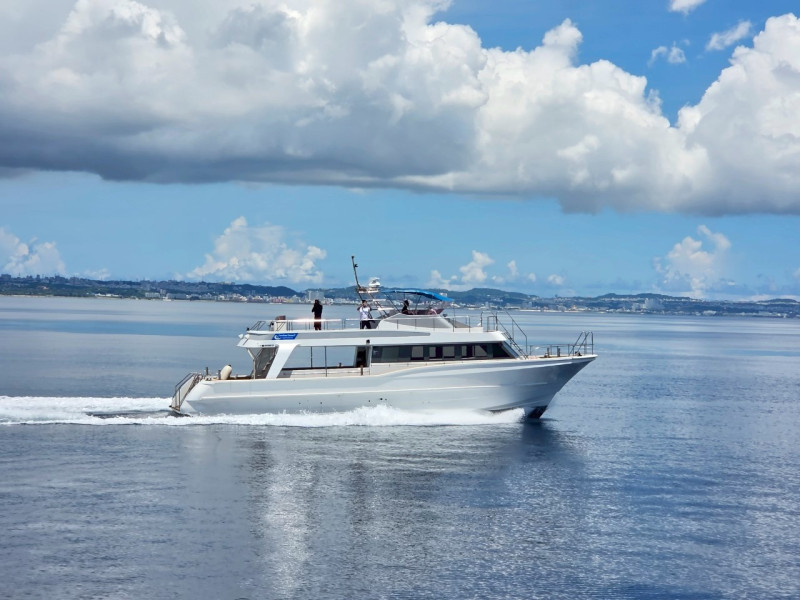 クルーザー（セルリアンドリームⅤ号）