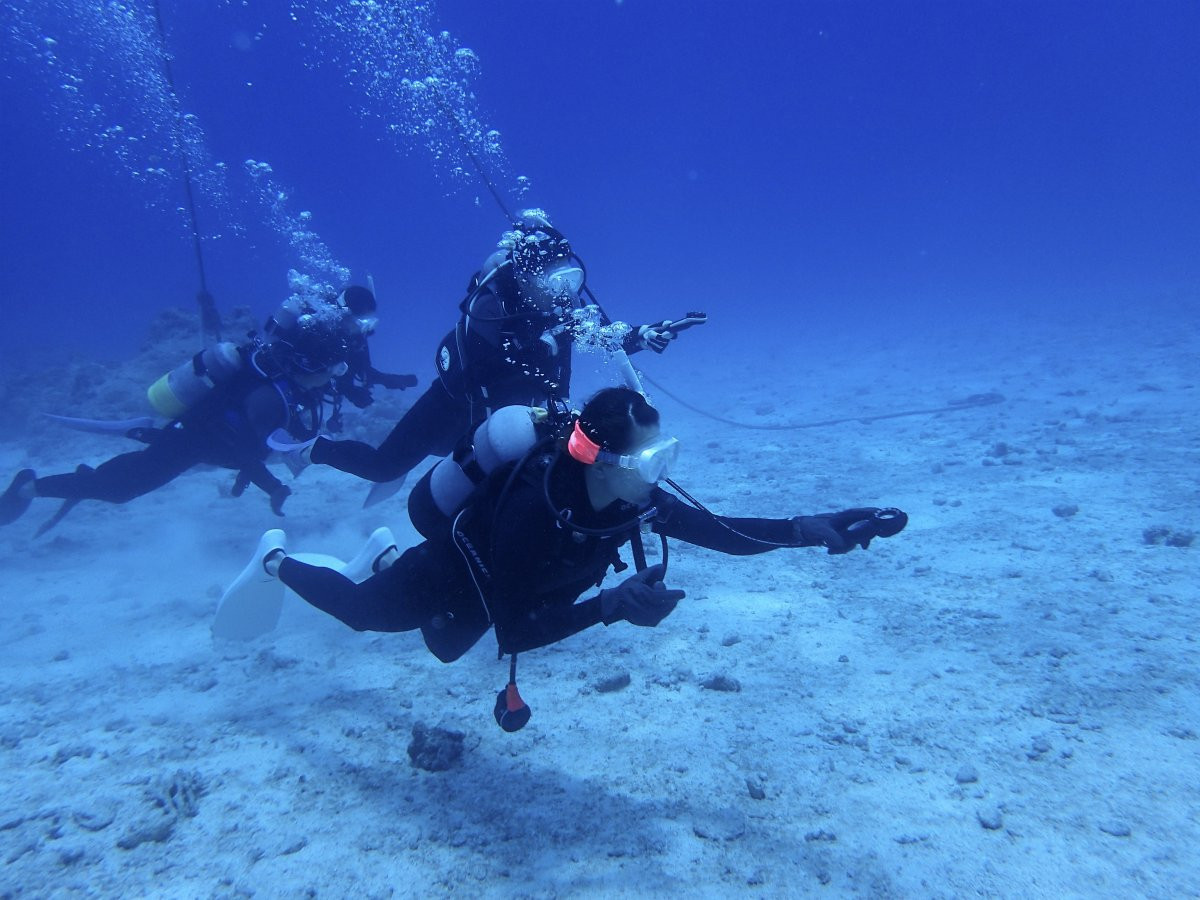 ダイバーになろう♪　ダイビングライセンス講習