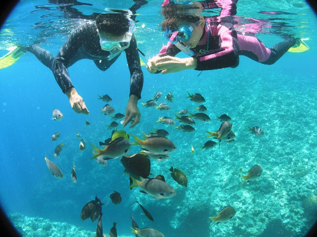 マリンクラブバスロ