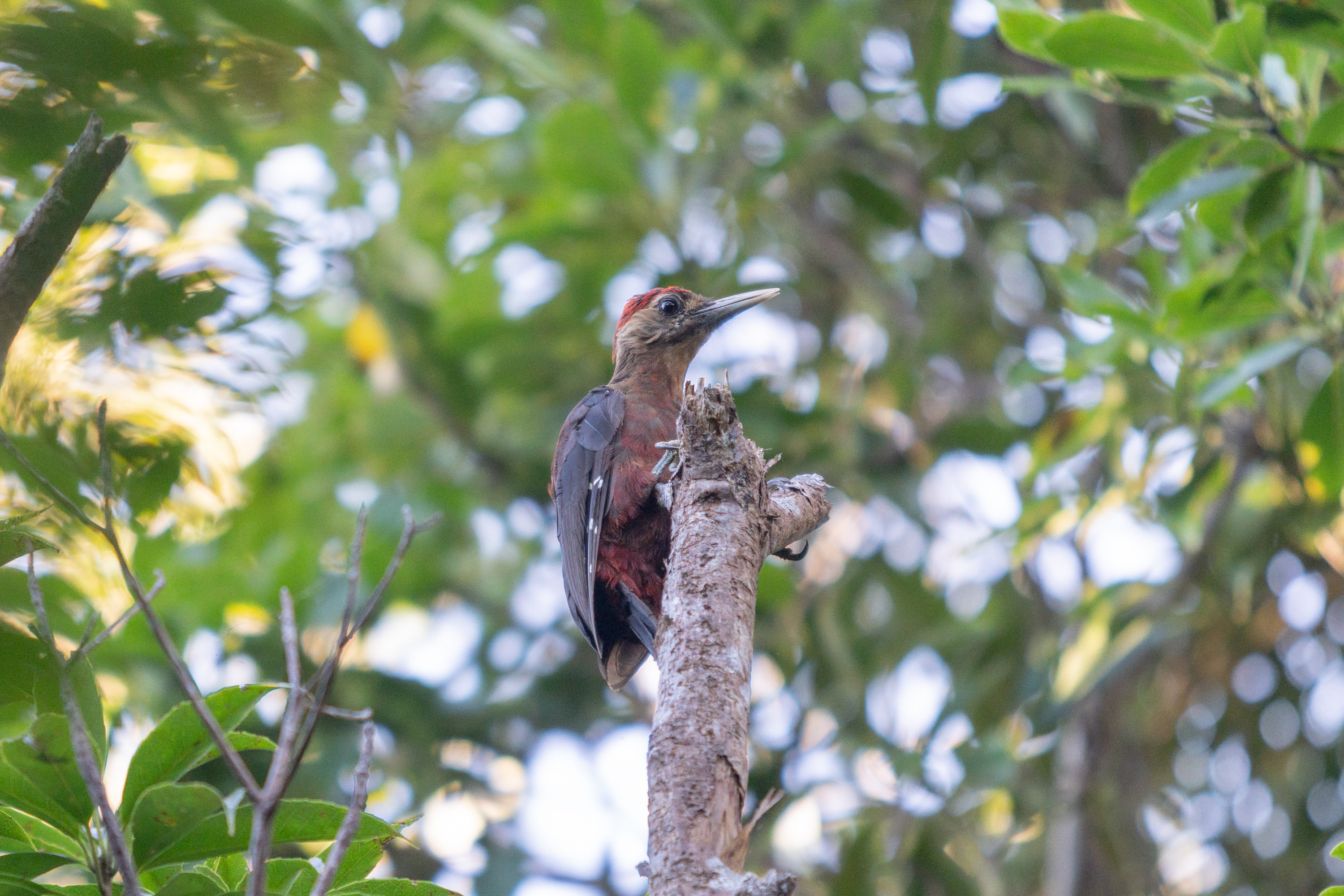 アダ・ガーデンホテル沖縄