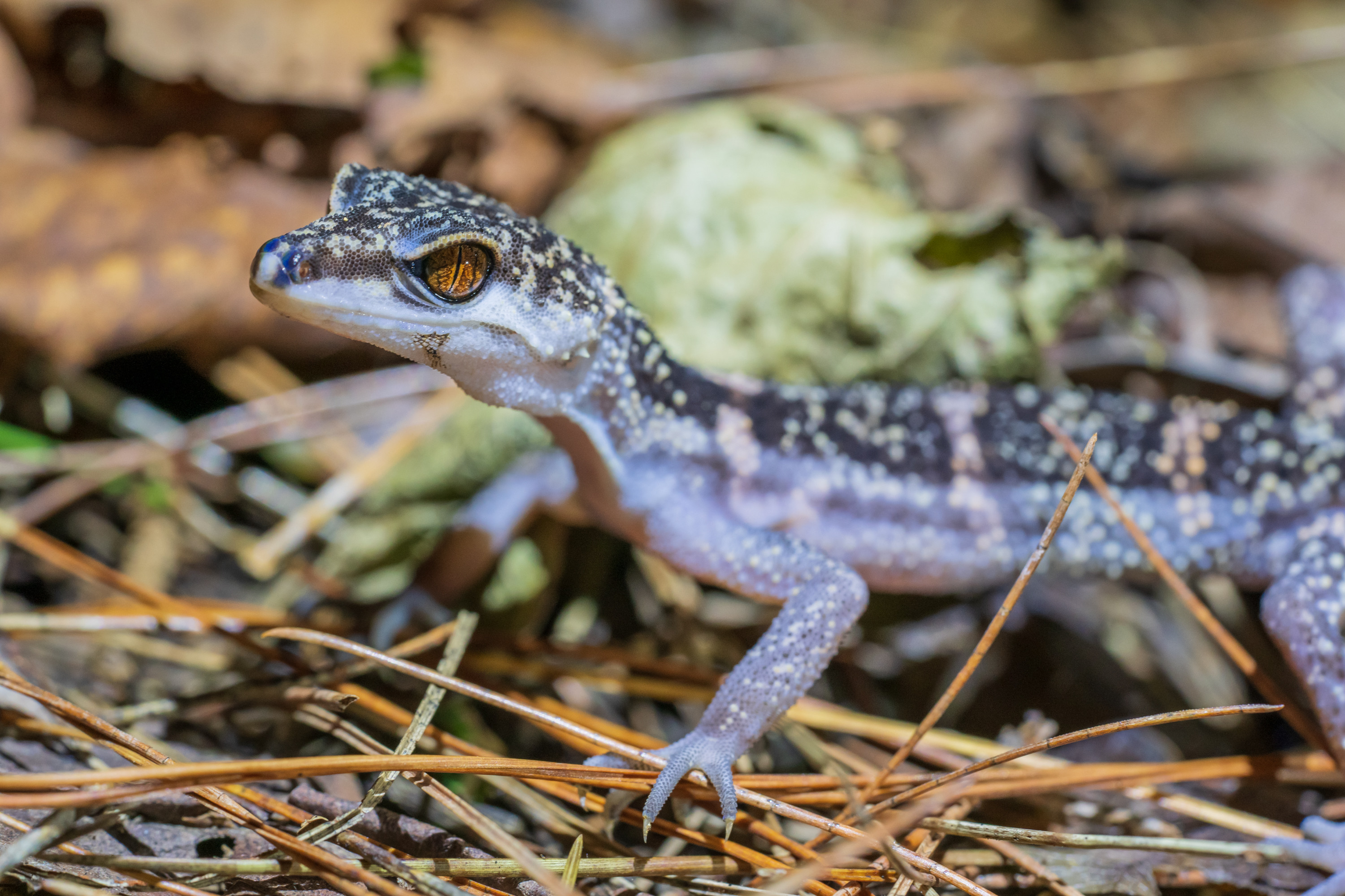 アダ・ガーデンホテル沖縄