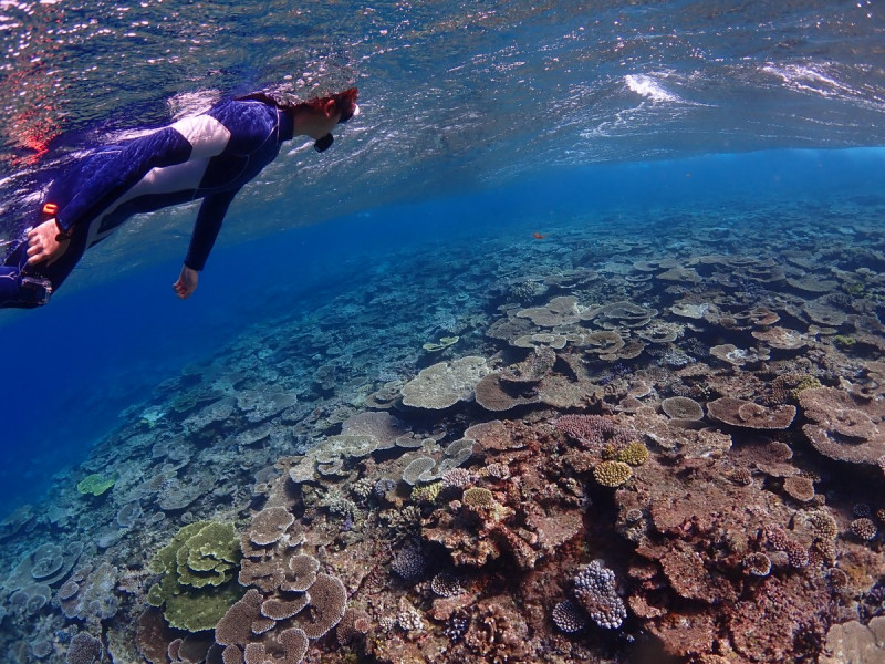 八重干瀬　大サンゴ礁