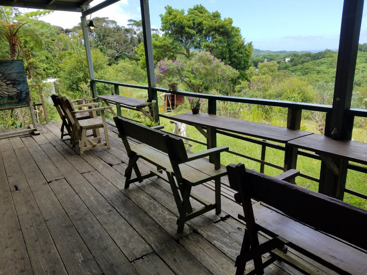 いこいの駅いずみ　ハブとマング－スショ－