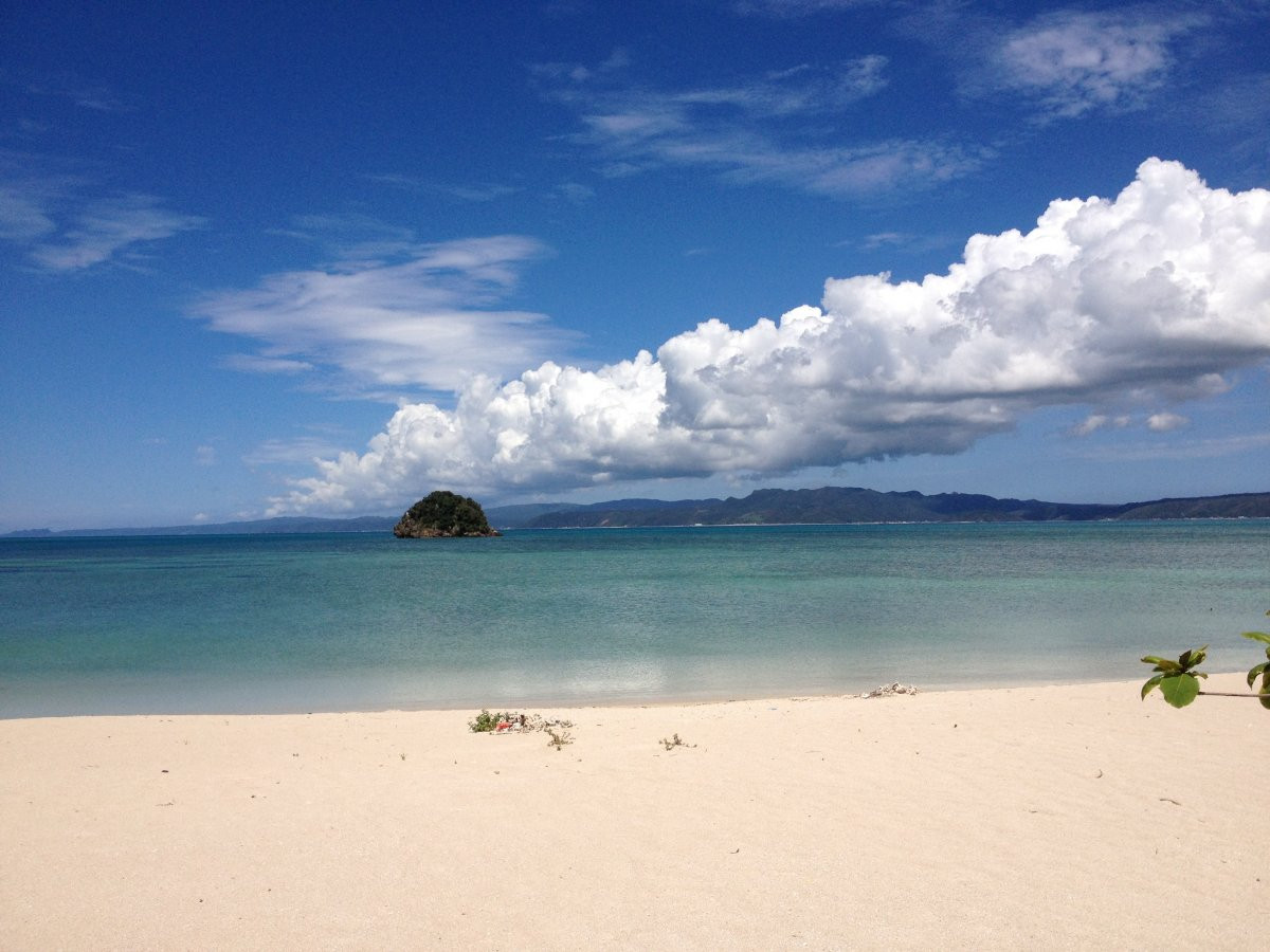 Laboratorio Dal mare ダルマーレ