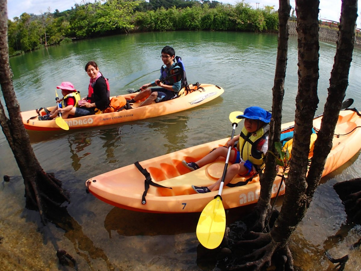 沖縄アンダゴ【1歳OK★1グループ完全貸切り】熱帯ジャングルマングローブのカヤック探検