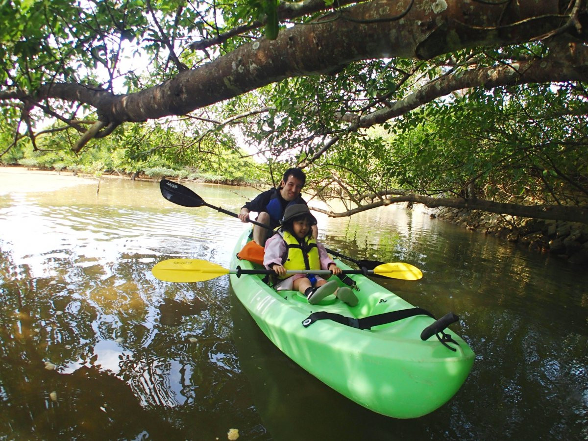 沖縄アンダゴ【1歳OK★1グループ完全貸切り】熱帯ジャングルマングローブのカヤック探検