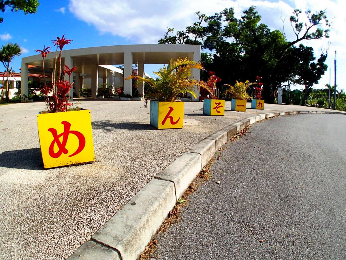 沖縄アンダゴ【1歳OK★1グループ完全貸切り】熱帯ジャングルマングローブのカヤック探検