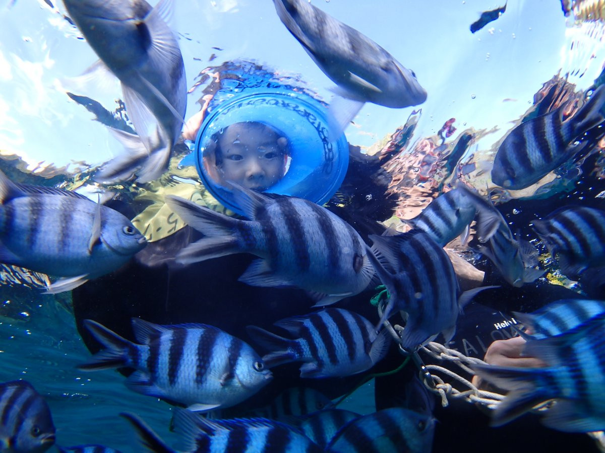 　青の洞窟ボートツアーズ シーラバーズ沖縄