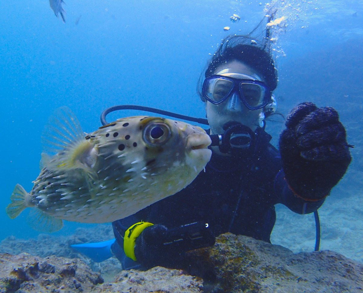 　青の洞窟ボートツアーズ シーラバーズ沖縄