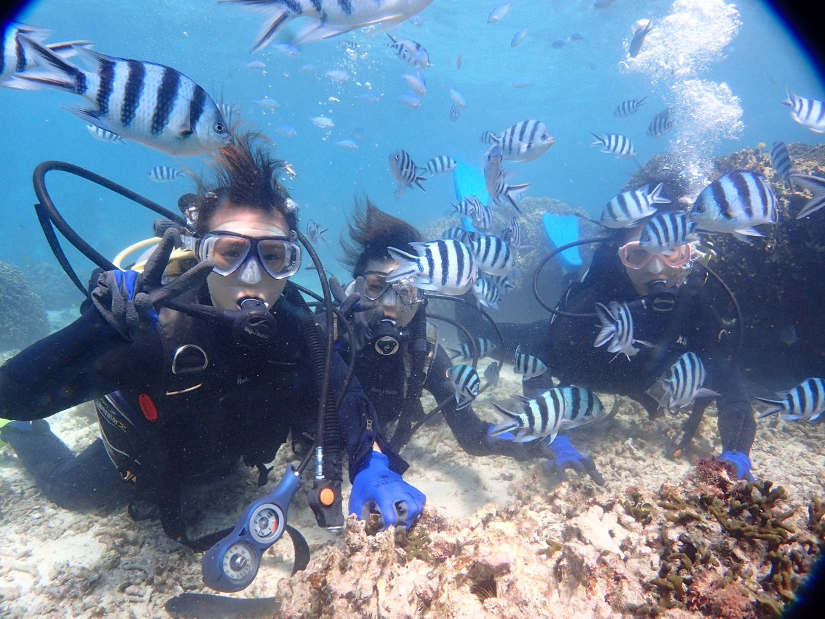 　青の洞窟ボートツアーズ シーラバーズ沖縄