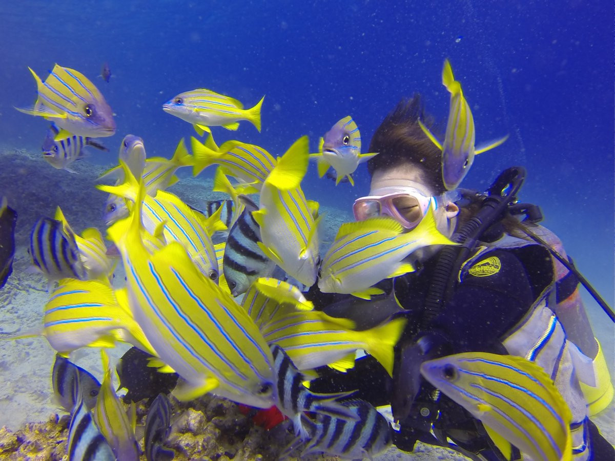 　青の洞窟ボートツアーズ シーラバーズ沖縄