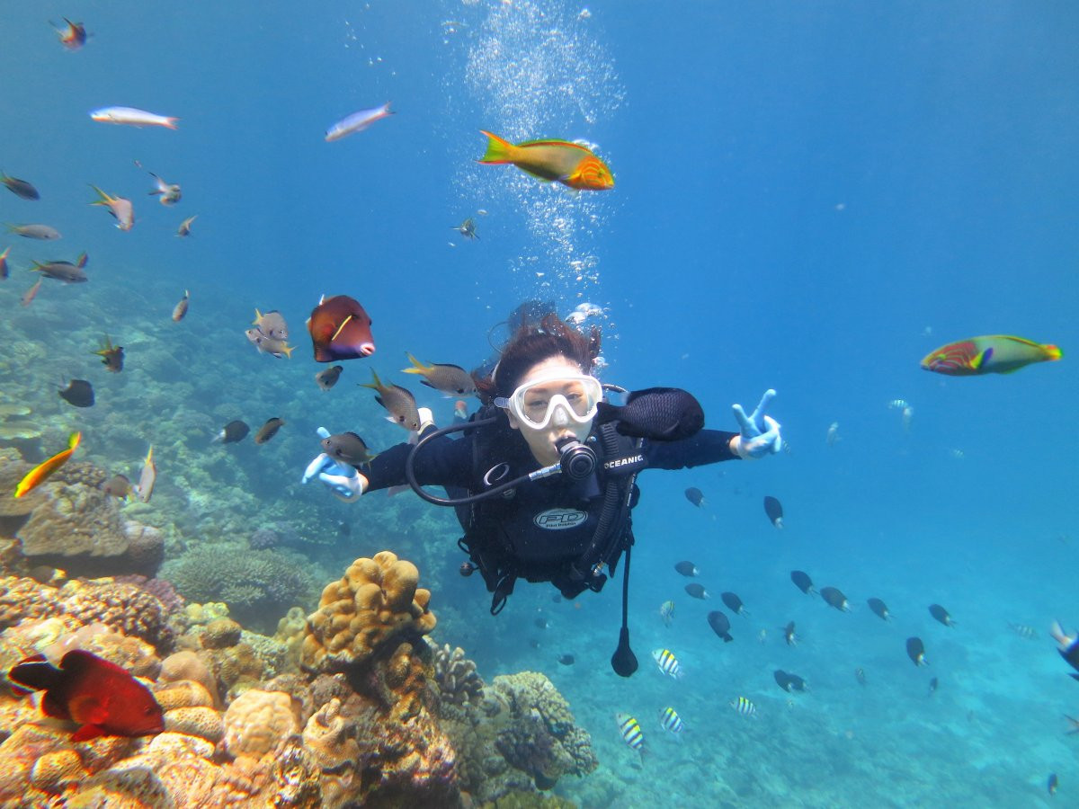 【水納島・瀬底島の海の中へ♪ 体験ダイビング】自社ボートで安心・安全！