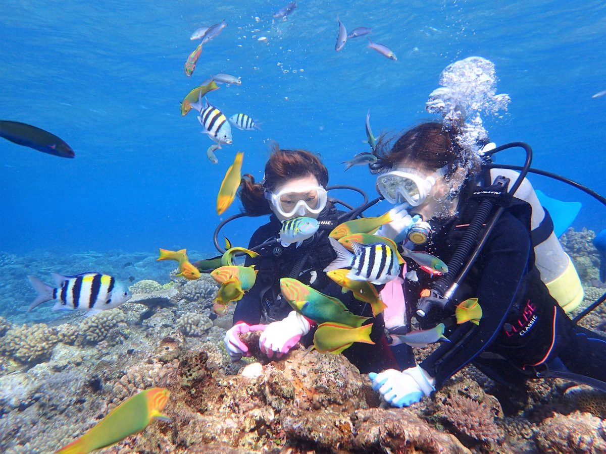 【水納島・瀬底島の海の中へ♪ 体験ダイビング】自社ボートで安心・安全！