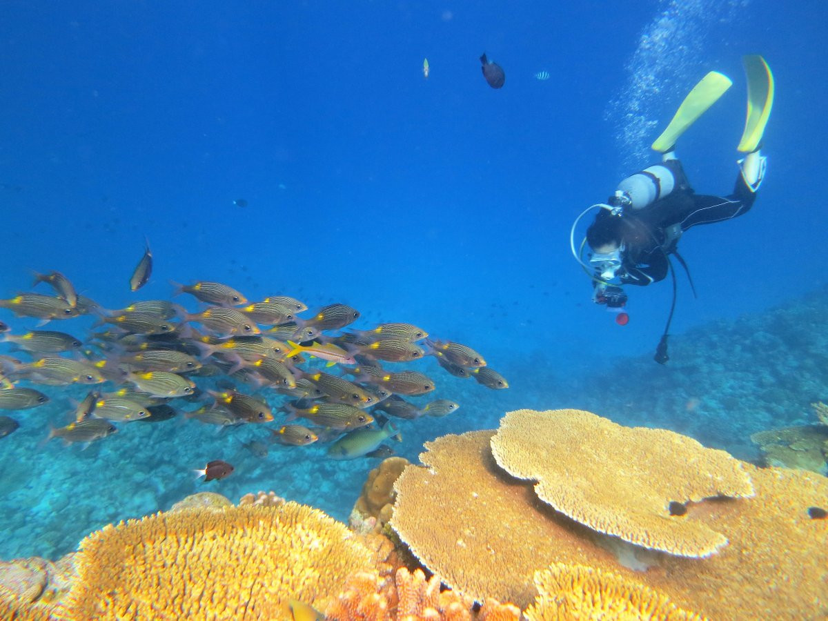 【水納島・瀬底島の海の中へ♪ 体験ダイビング】自社ボートで安心・安全！