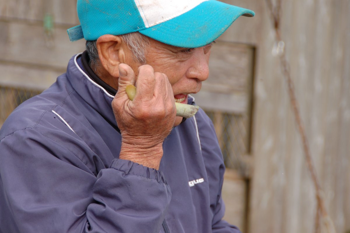 やんばる日和　～旅の産直市場～