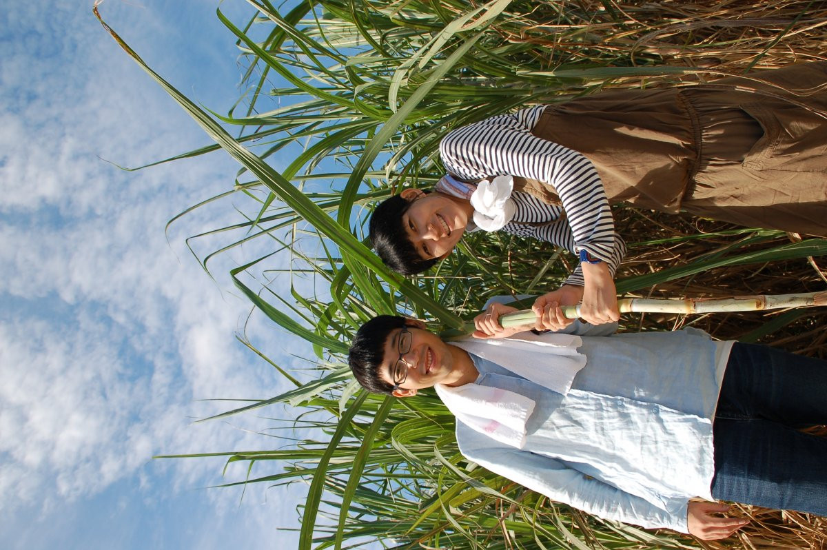 やんばる日和　～旅の産直市場～