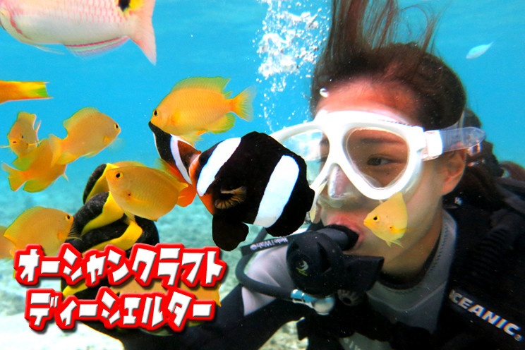 [ミッションビーチ] オーシャンクラフト・ディーシェルター