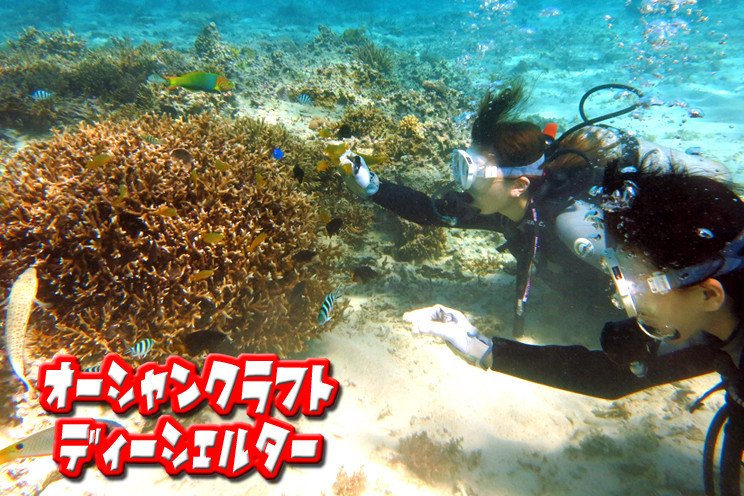 [ミッションビーチ] オーシャンクラフト・ディーシェルター