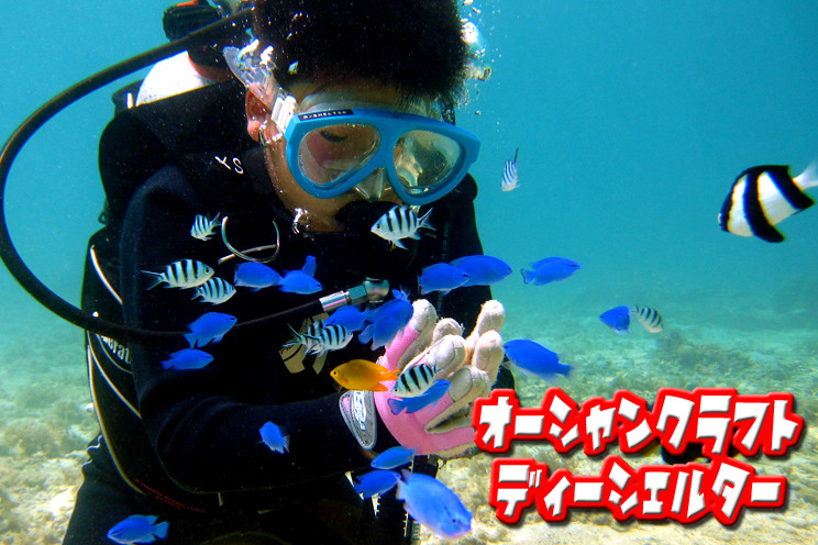 [ミッションビーチ] オーシャンクラフト・ディーシェルター