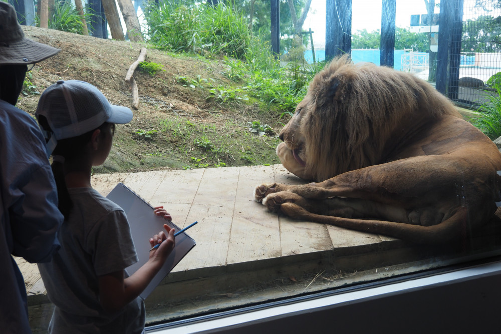 ②沖縄こどもの国 Okinawa Zoo & Museum
