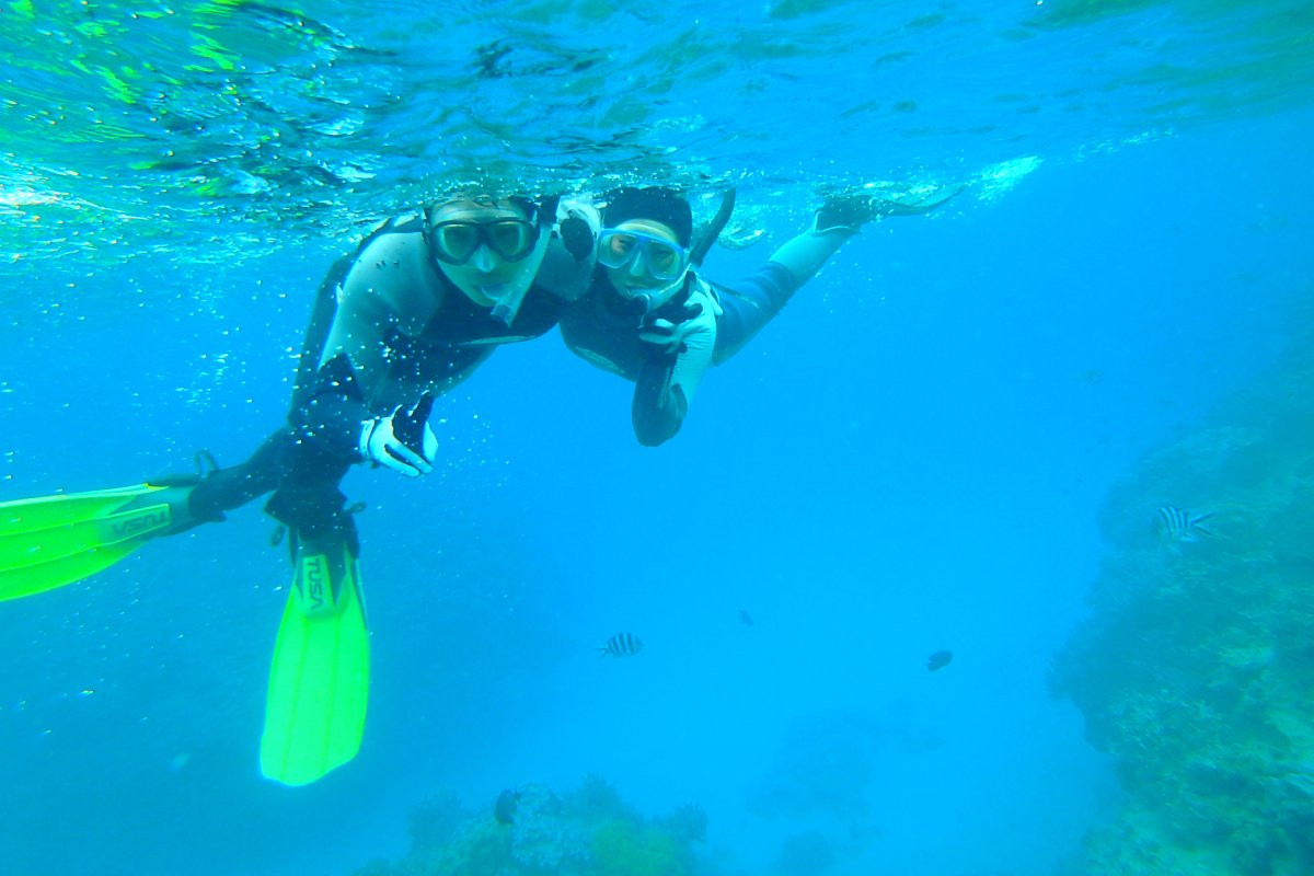 熱帯魚と珊瑚礁の海　ＳＵＰ＆シュノーケリング