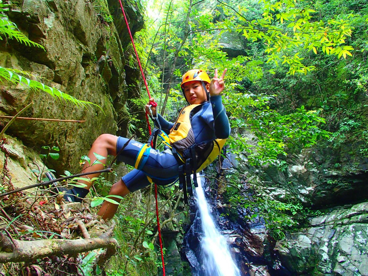 ジュラシックワールドの世界、やんばるの森でエコツアー