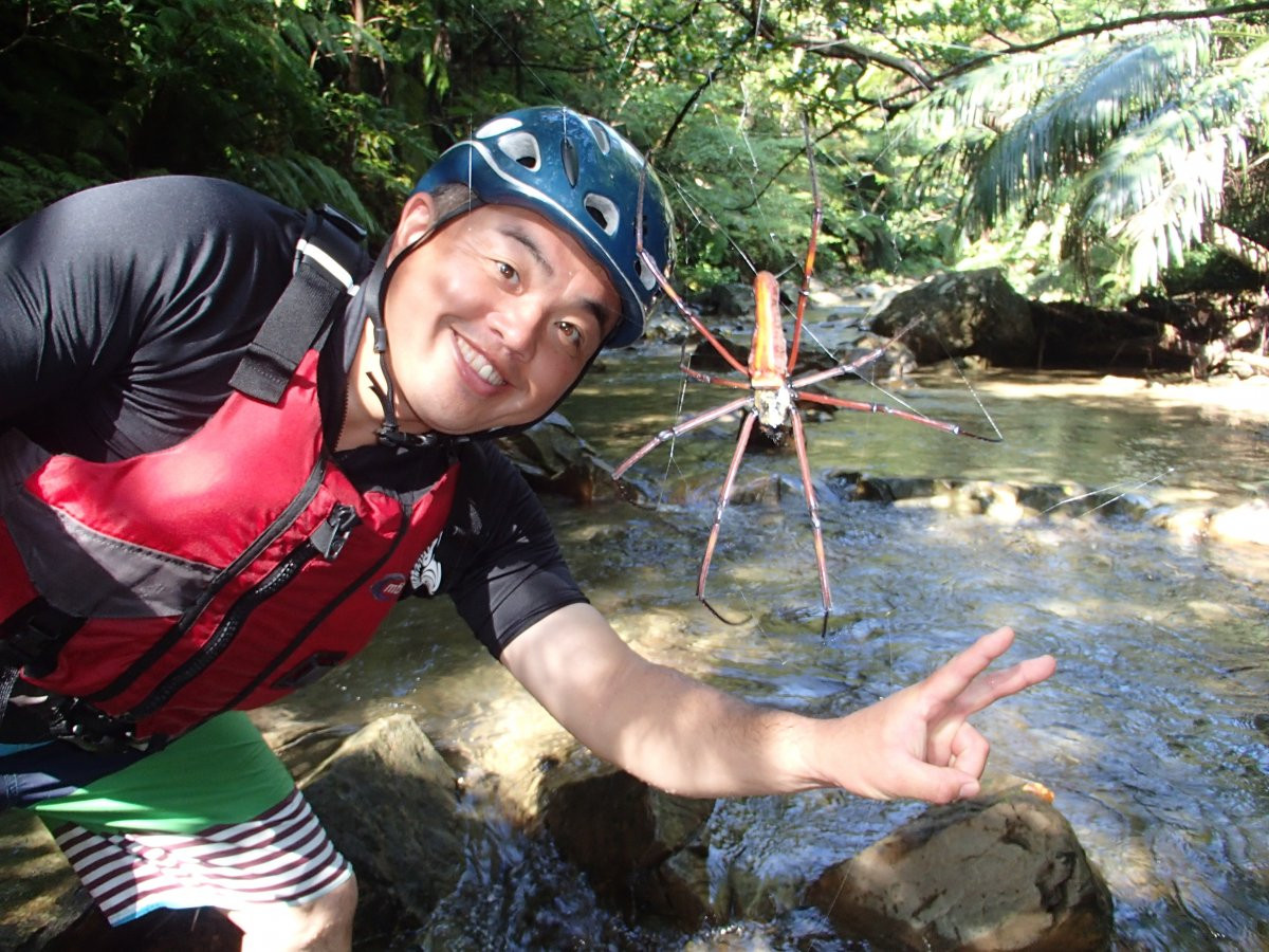 ジュラシックワールドの世界、やんばるの森でエコツアー