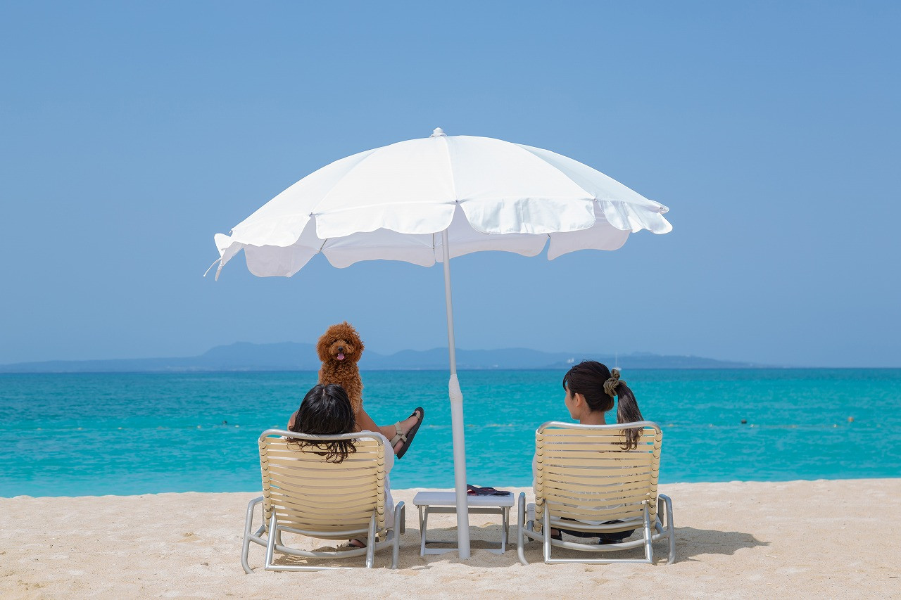 ワンちゃんルーム　-オクマ プライベートビーチ ＆ リゾート-