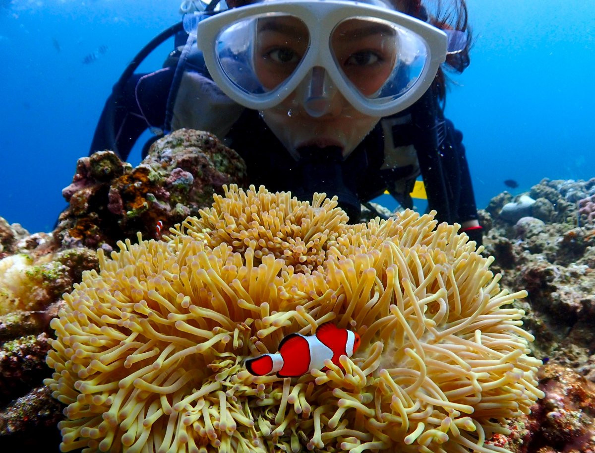 ダイブセンターアイルズ