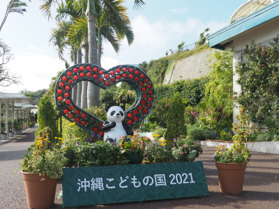 沖縄こどもの国花まつり2022