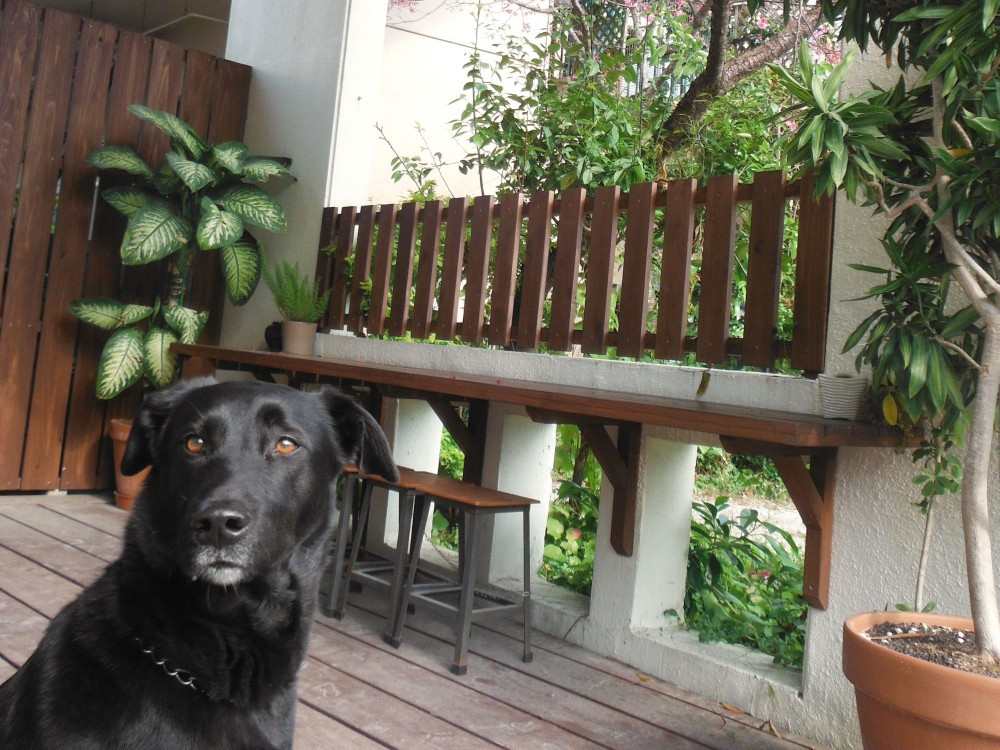 アジア食堂　みのり屋