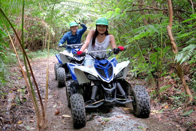 どきどきヤンバルンチャー