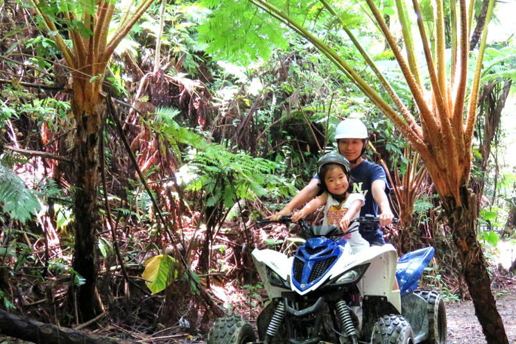 どきどきヤンバルンチャー