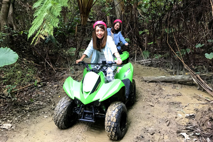 どきどきヤンバルンチャー