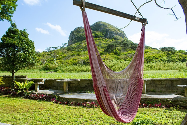 カーサ・ビエント
