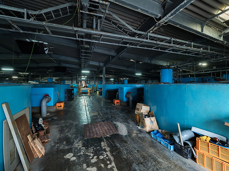 伊平屋村漁協養殖所