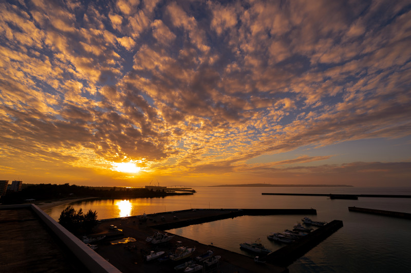 サンセットテラス