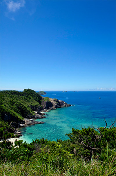 情報一覧 | 沖縄で定番・おすすめの観光スポット | 沖縄観光情報WEB 