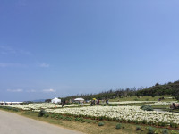 伊江島　リリーフィールド