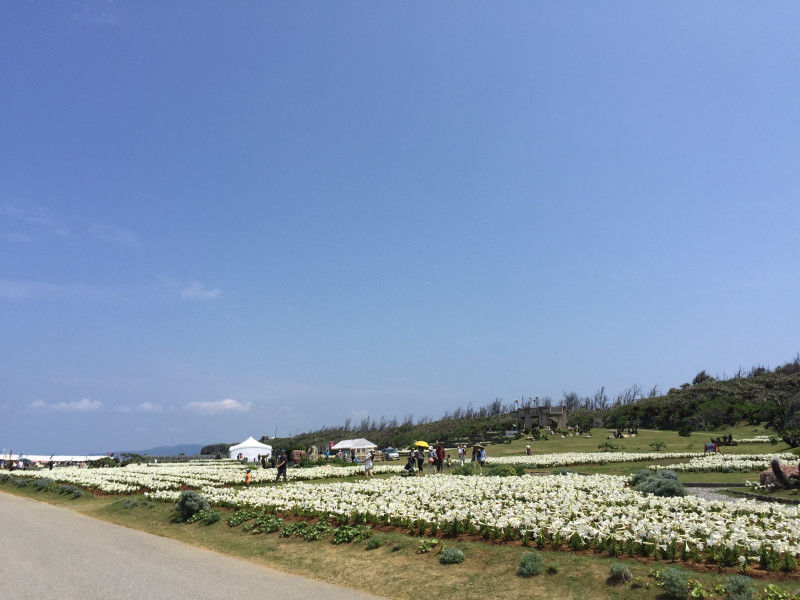 伊江島　リリーフィールド