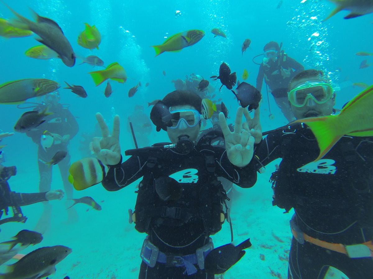 美ら海水族館近くのダイビング・シュノーケリング・SUP専門店　aqua ring【アクアリング】