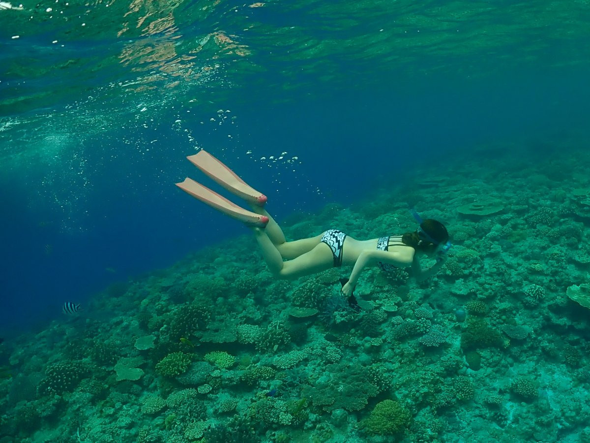 美ら海水族館近くのダイビング・シュノーケリング・SUP専門店　aqua ring【アクアリング】