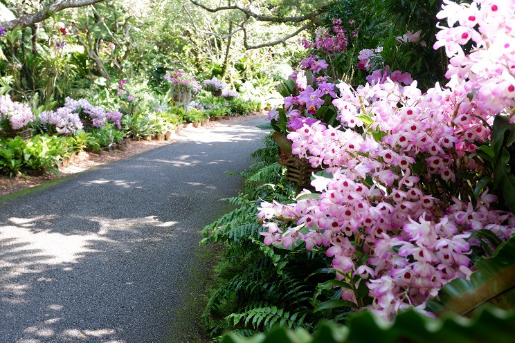 うりずんの花祭り22 沖縄観光情報webサイト おきなわ物語 うりずんの花祭り22 沖縄観光情報webサイト おきなわ物語