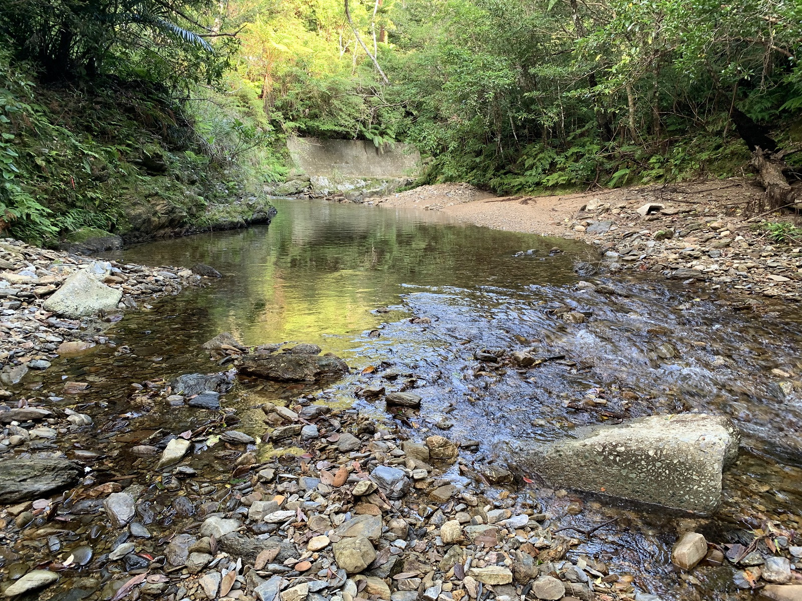 マムヴィッラIn源河