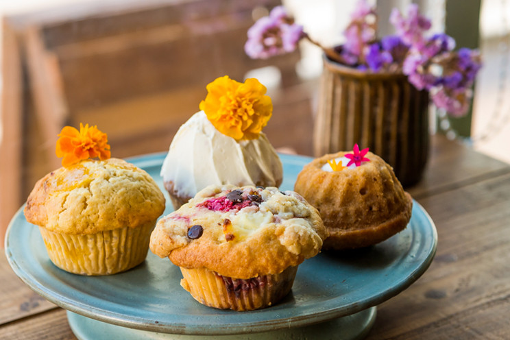 SOYSOY CAFE　本部店