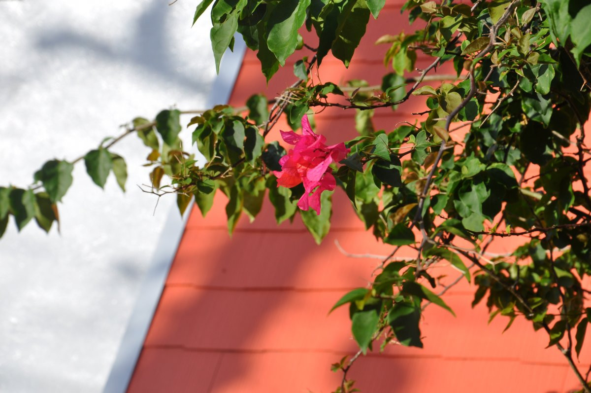 Sea Breeze コテージ シーブリーズ