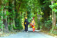 【フクギ並木】沖縄らしい原風景。琉球衣装でフクギ並木の中で森林浴をしながらフォト撮影をご案内