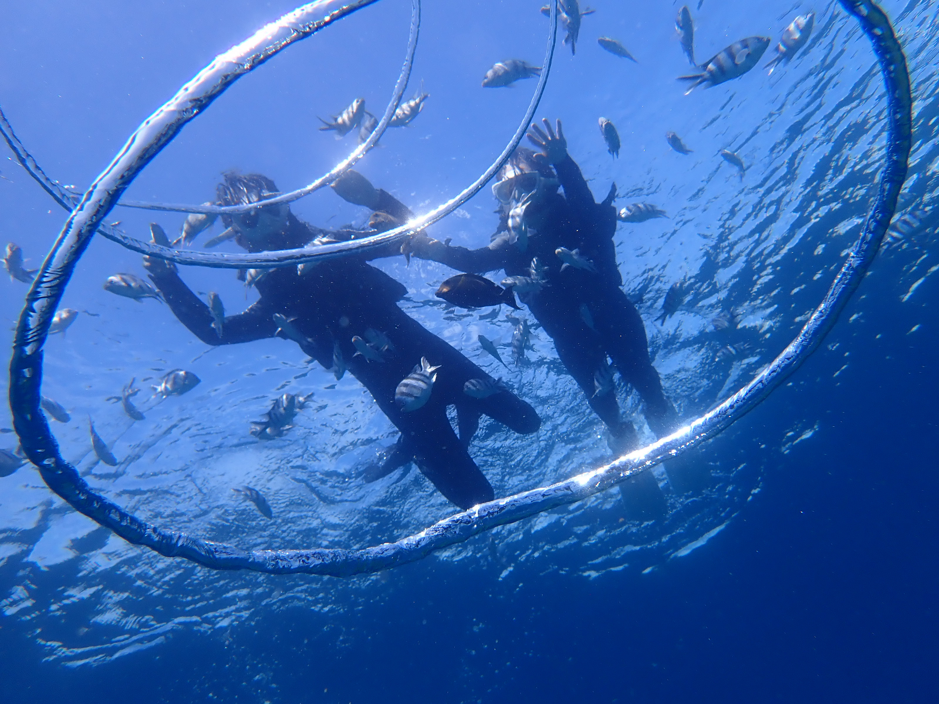 【青の洞窟・1組貸切ツアー】2歳から70歳まで参加可能!　Divingshop Ryo