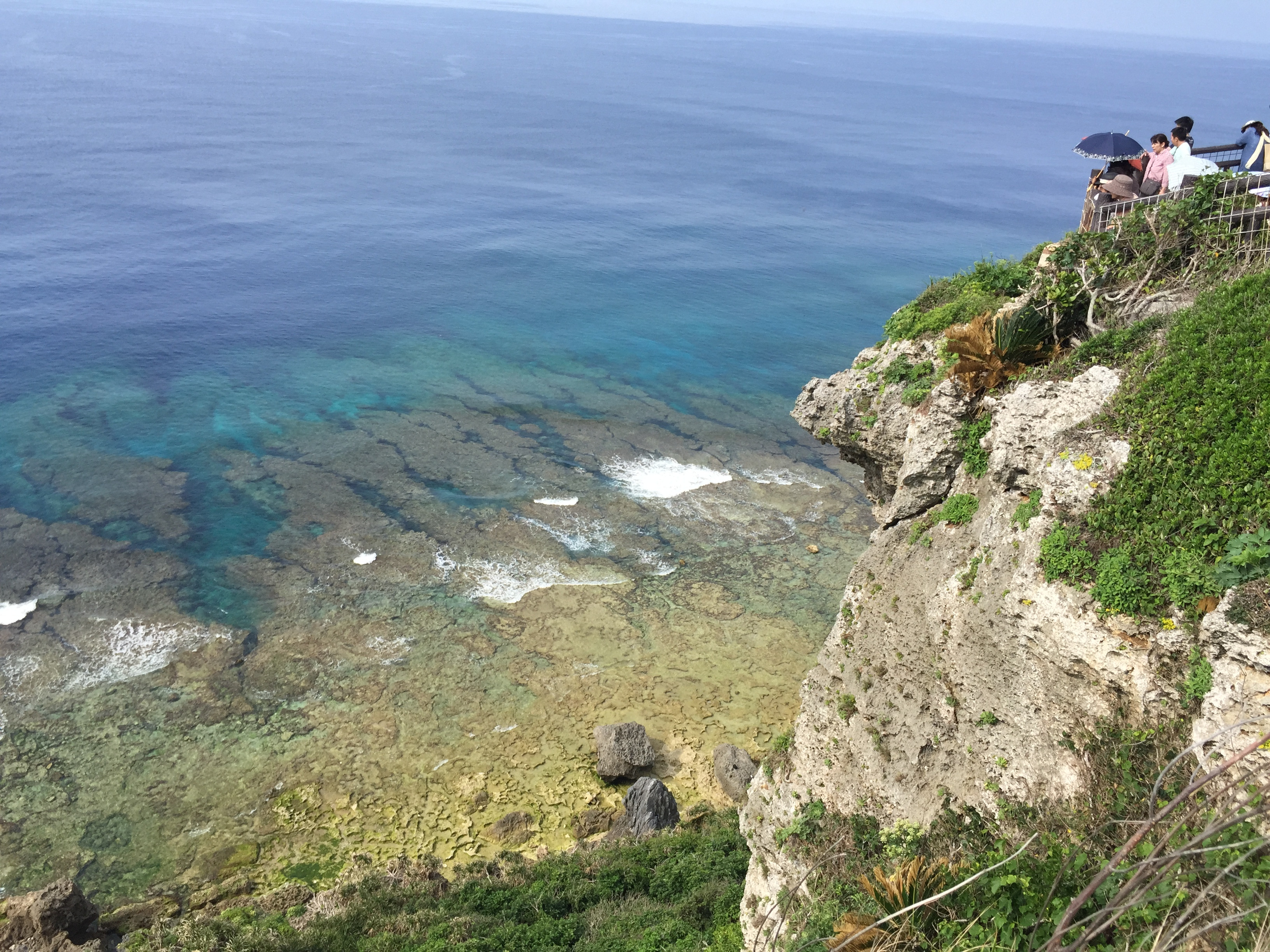 【那覇発】専用クルーザーで行く！伊江島ゆり祭り日帰りツアー