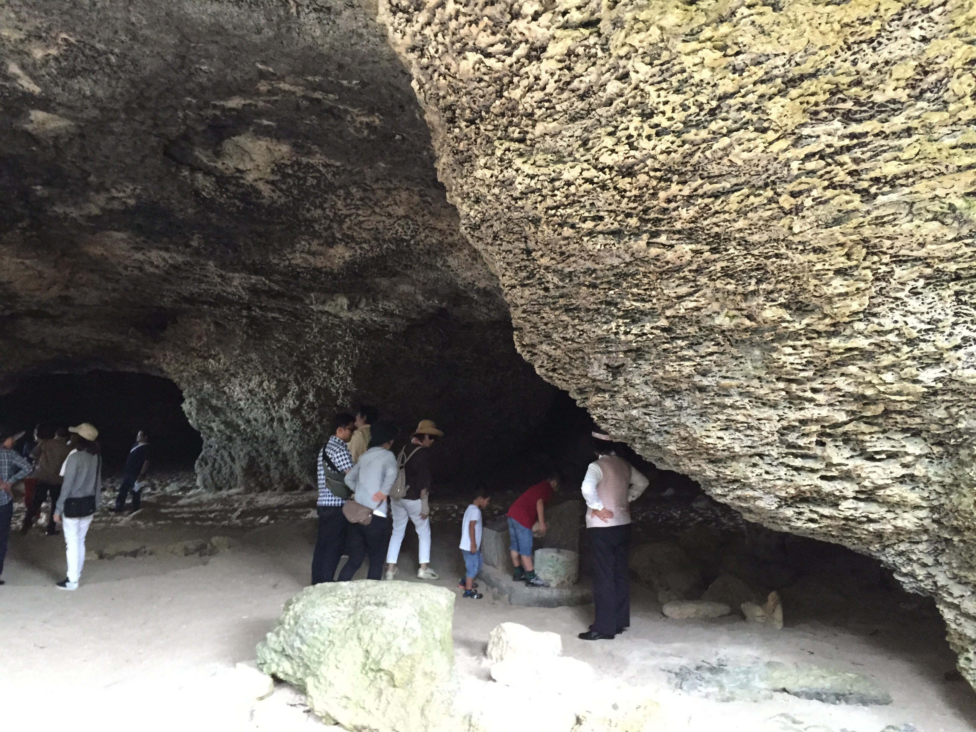 【那覇発】専用クルーザーで行く！伊江島ゆり祭り日帰りツアー